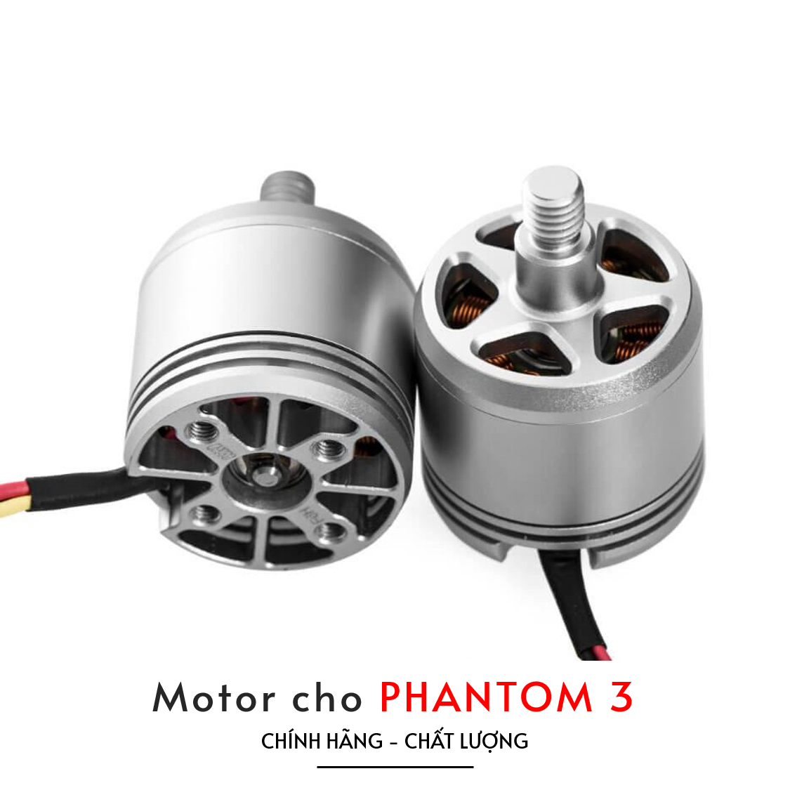 motor-phantom-3
