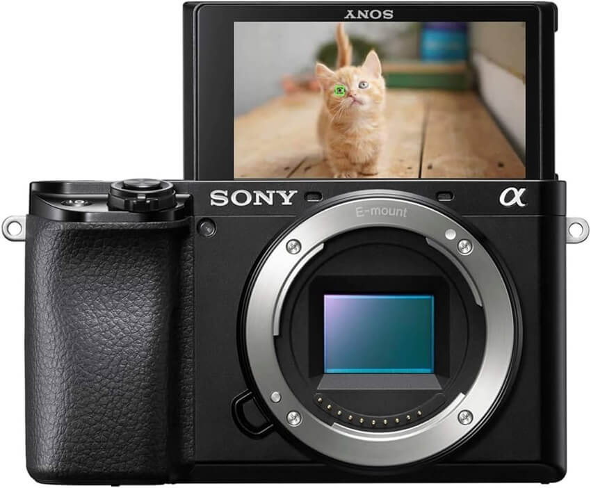 Sony-A6100-Lua-chon-may-anh-Sony-cu-tot-nhat-trong-tam-gia-12-15-trieu