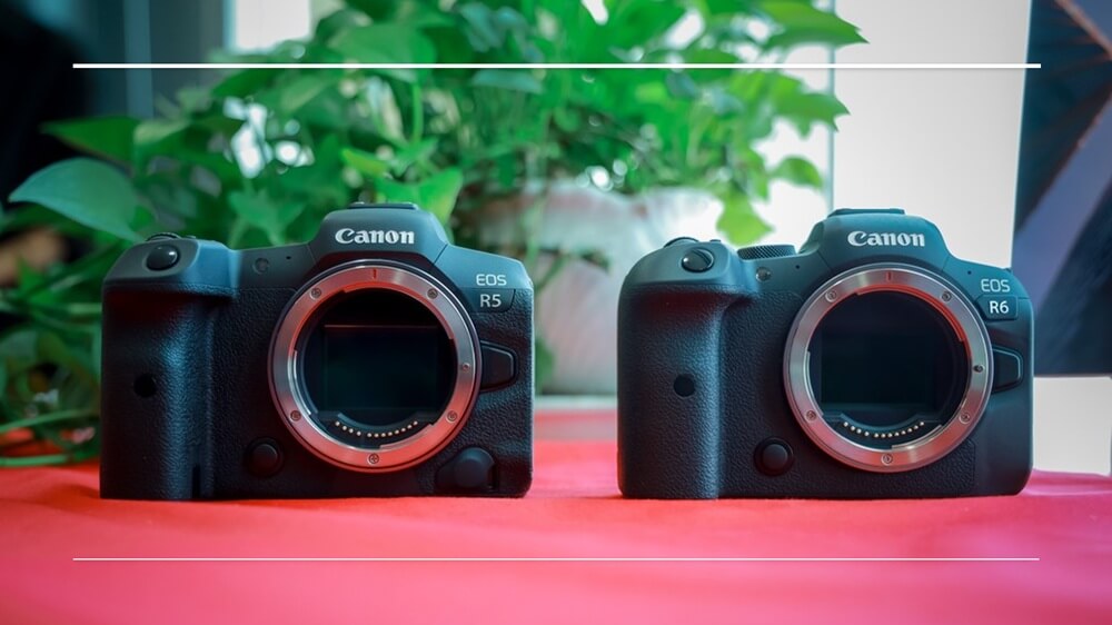 may-anh-canon-eos-r5-canon-r5-chinh-hang-canon