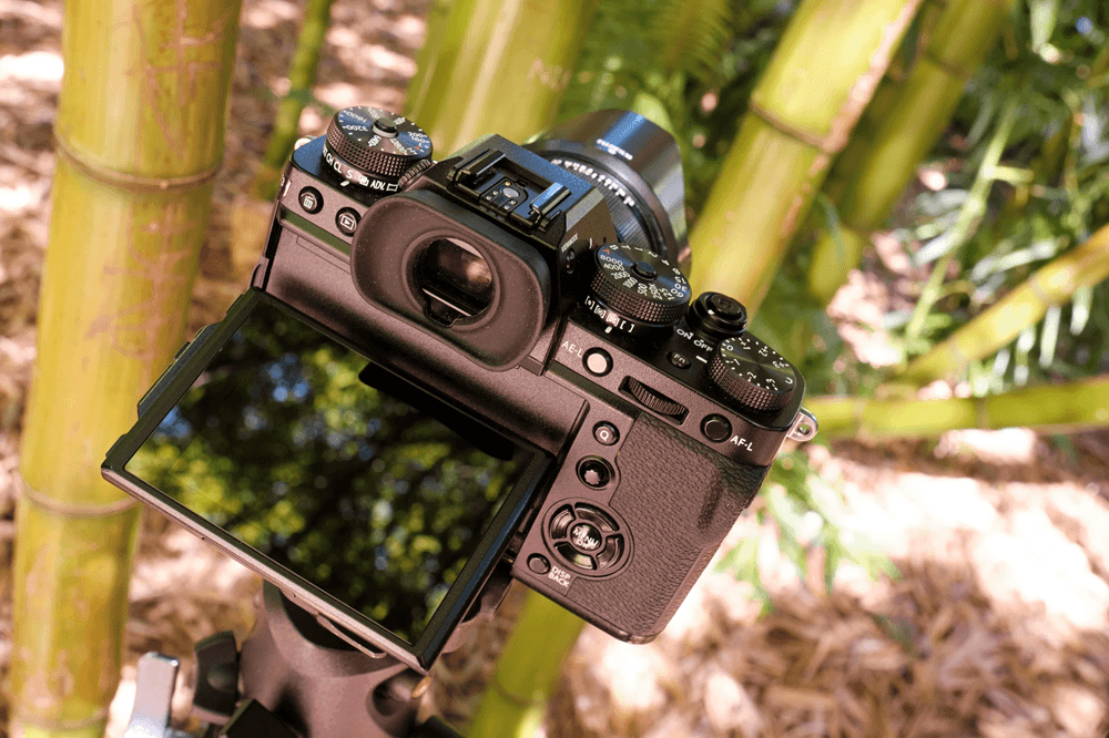 top-may-anh-chup-ky-yeu-dep-nhu-studio-khong-can-chinh-nhieu