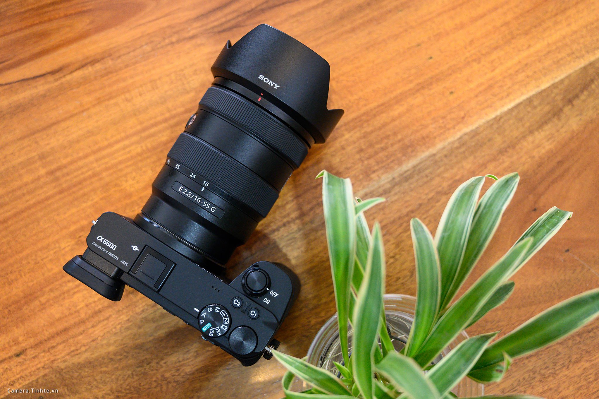Sony A6600